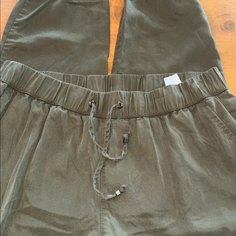 Banana Republic Sage Green Jogger Tencel Pants - Picture 2 of 7